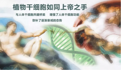 年輕之鑰 干細胞技術的突破與應用前景