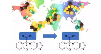 肝臟與腸道酯酶在藥物代謝中的關(guān)鍵角色及其與新藥研發(fā)及干細(xì)胞技術(shù)的協(xié)同展望